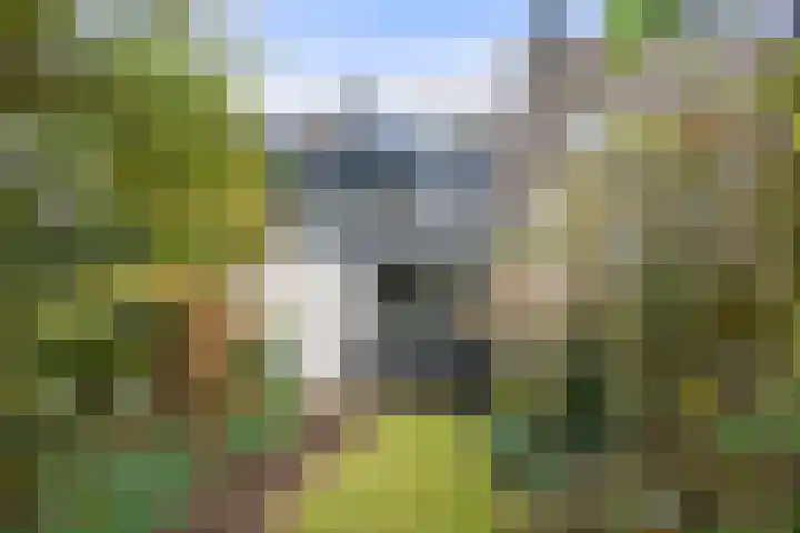 Dovenetel 13 Bennekom thumbnail 14