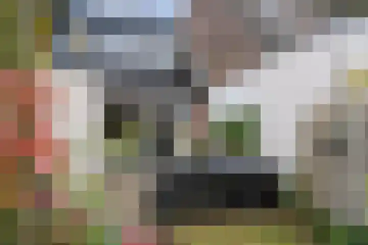 Dovenetel 13 Bennekom thumbnail 15