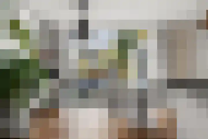 Dovenetel 13 Bennekom thumbnail 19