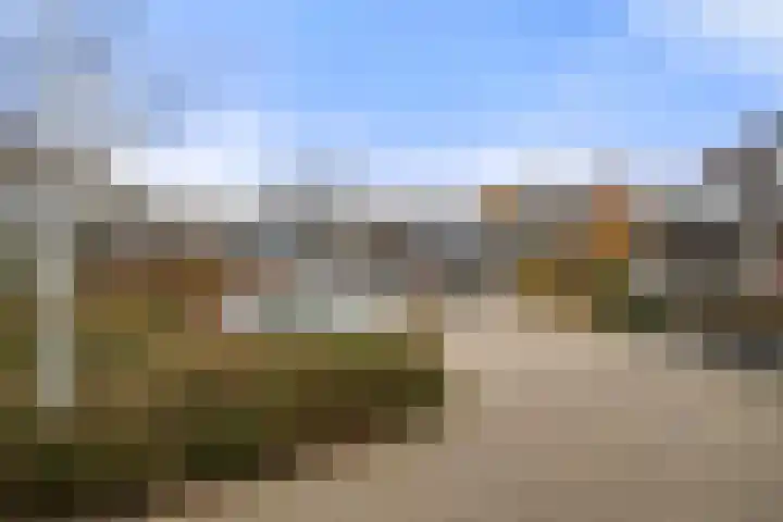 Dovenetel 13 Bennekom thumbnail 4