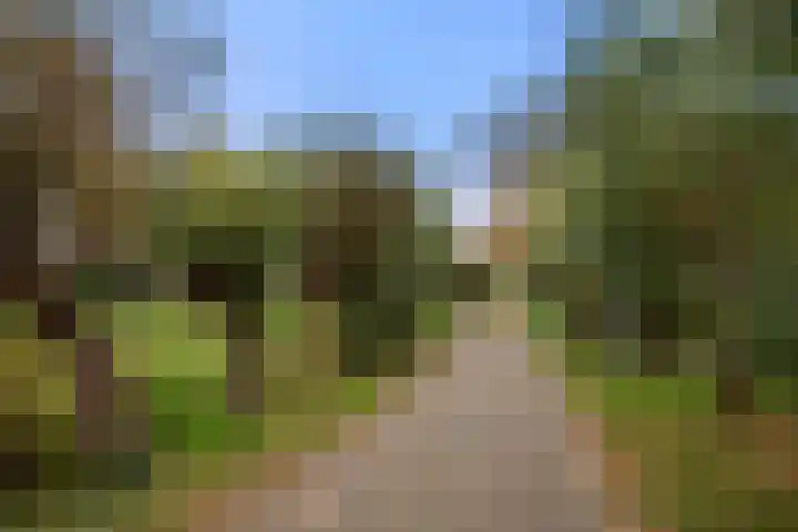 Dovenetel 13 Bennekom thumbnail 6