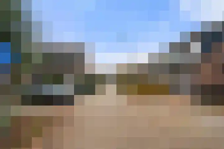 Dovenetel 13 Bennekom thumbnail 7