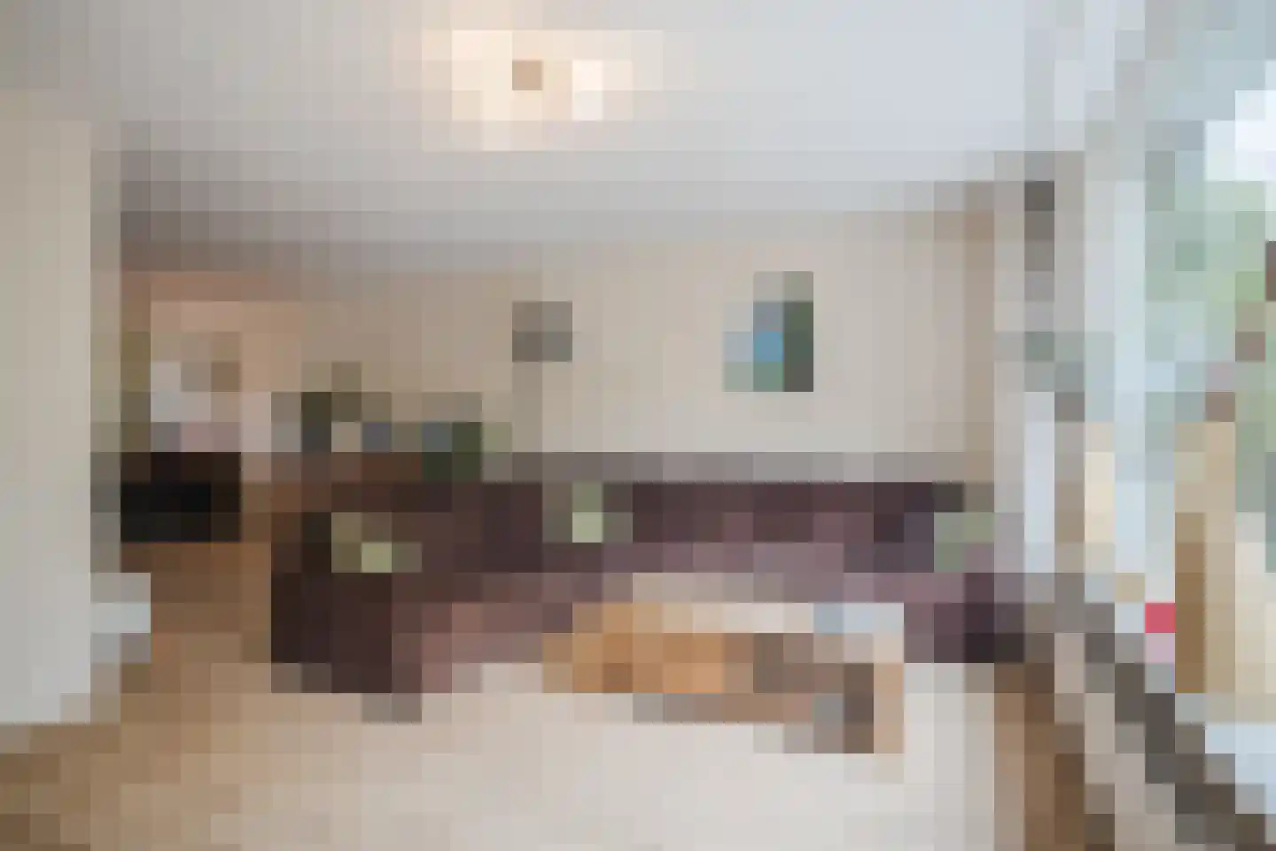 Dovenetel 14 Deventer thumbnail 12