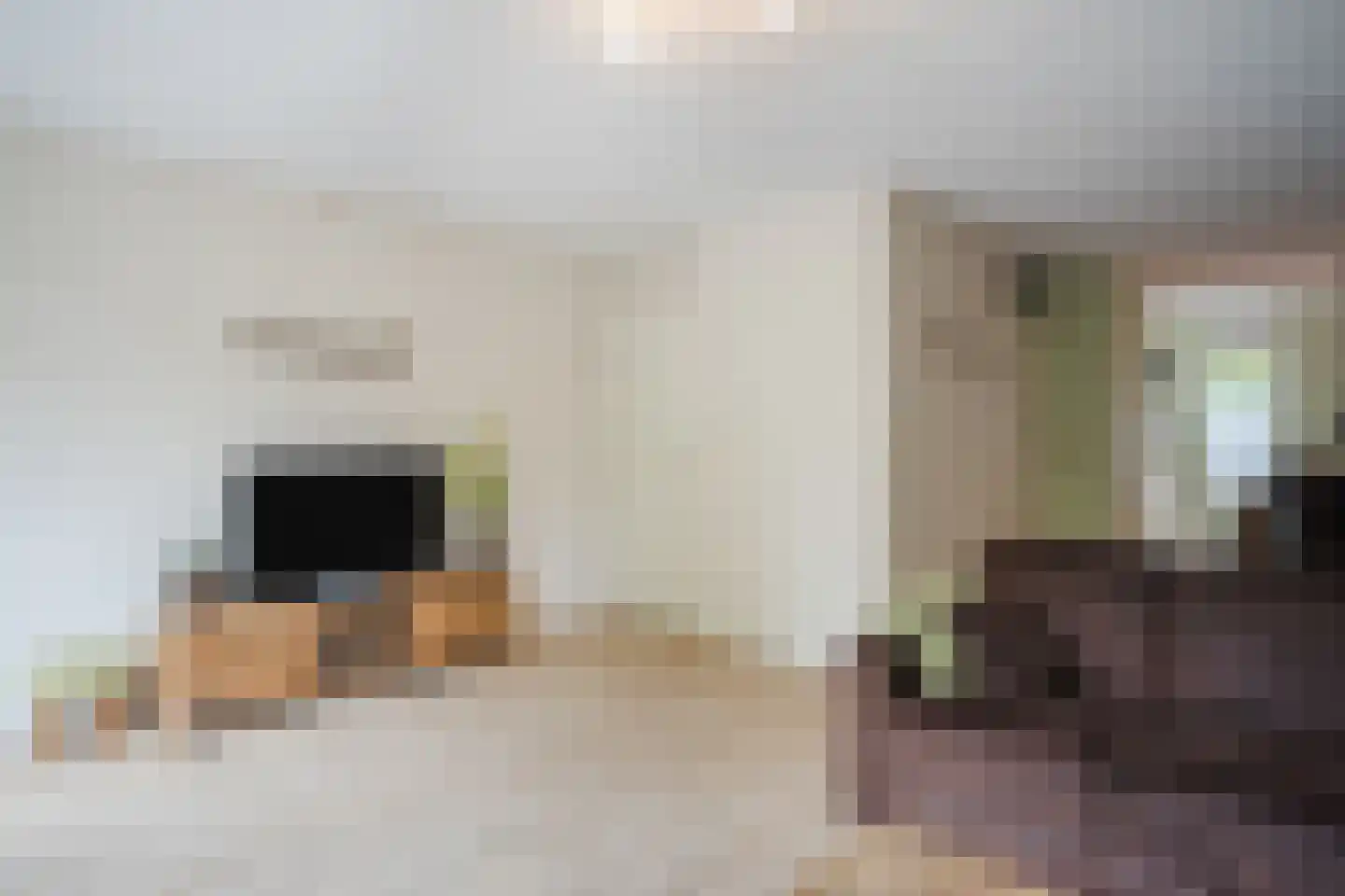 Dovenetel 14 Deventer thumbnail 13