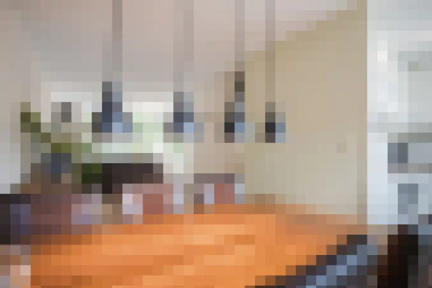 Dovenetel 14 Deventer thumbnail 17