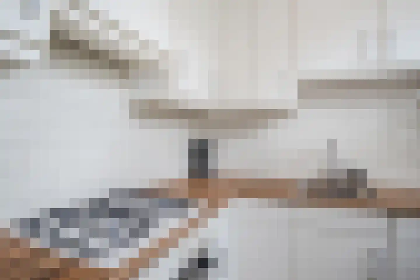 Dovenetel 14 Deventer thumbnail 19