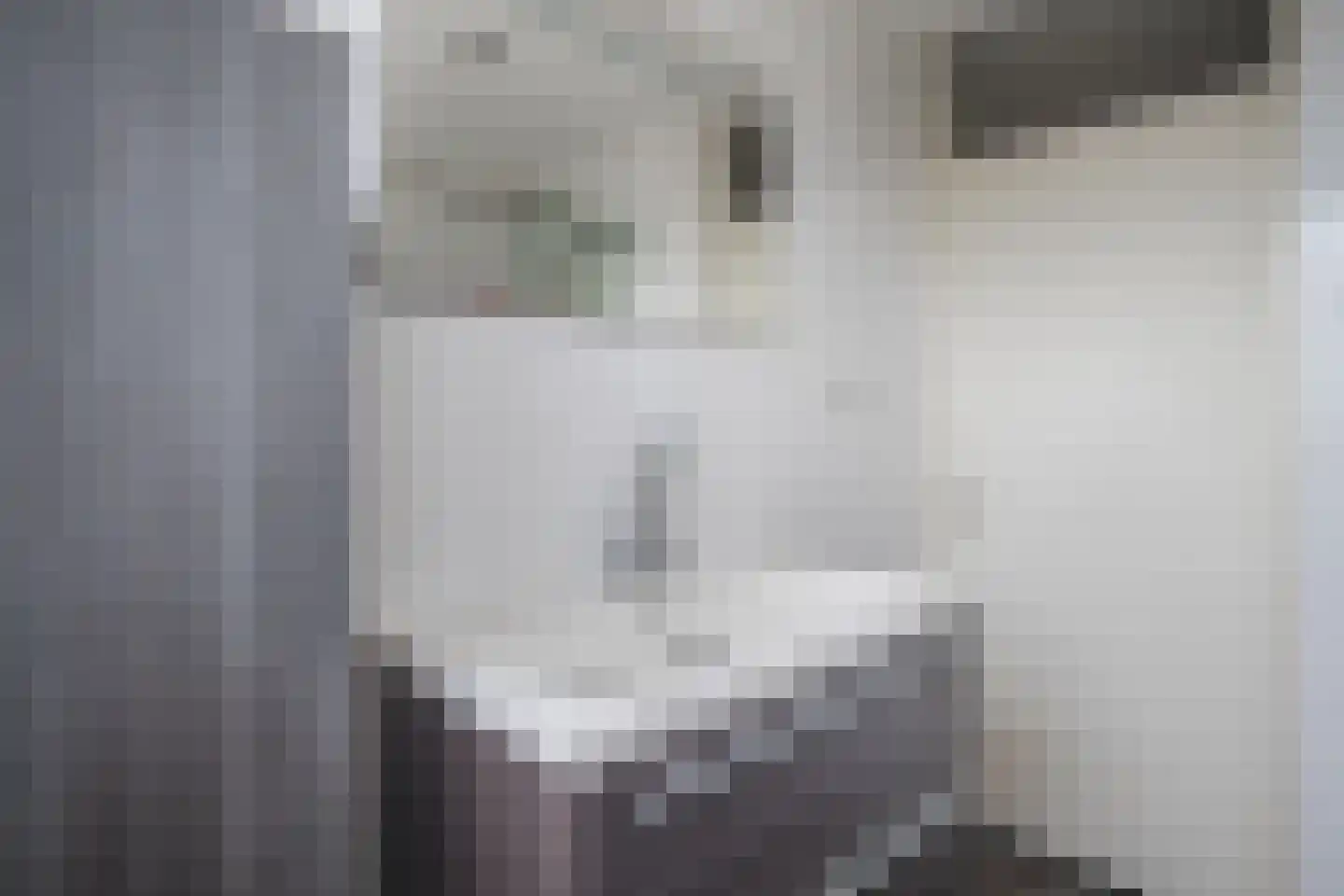 Dovenetel 14 Deventer thumbnail 30