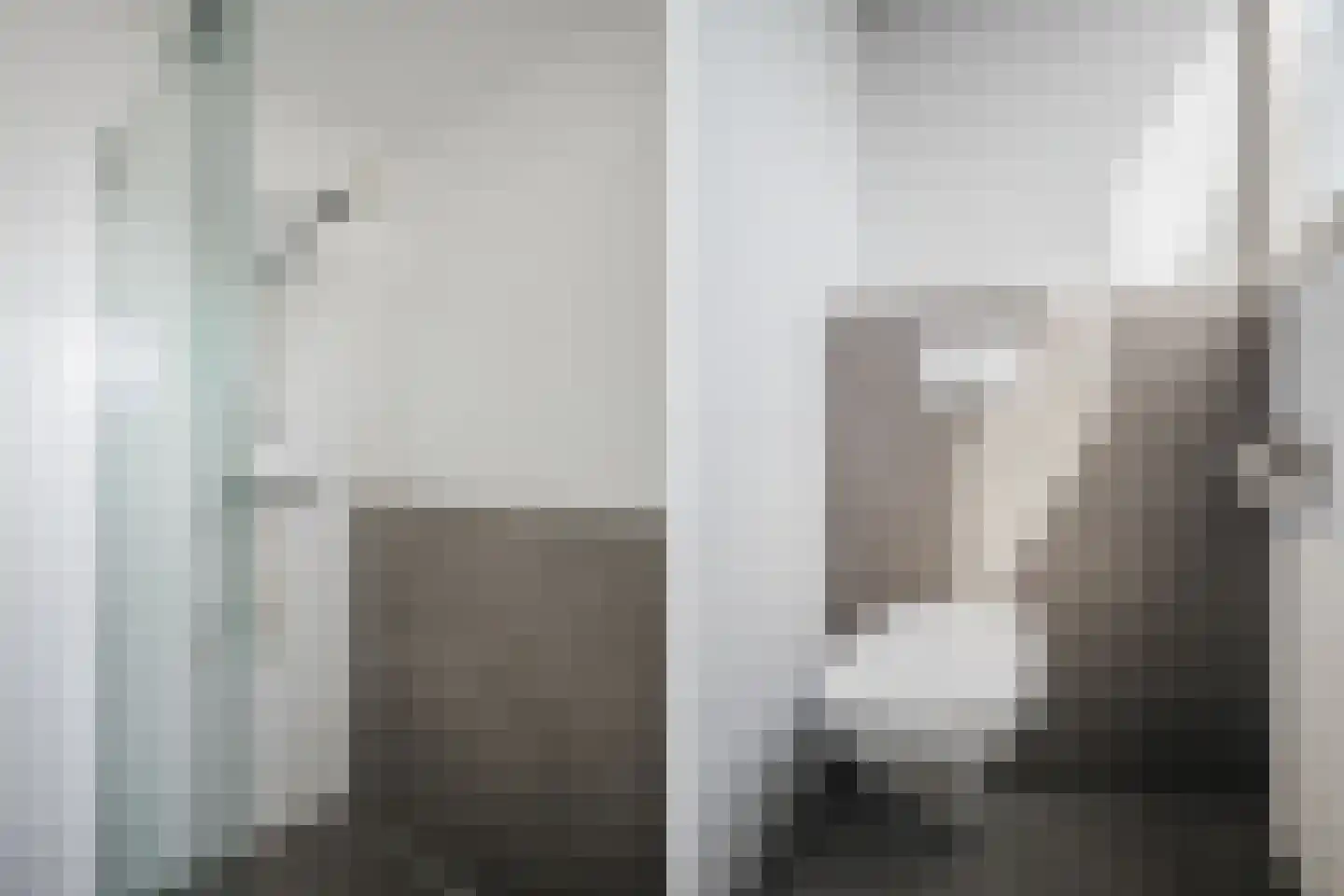Dovenetel 14 Deventer thumbnail 33