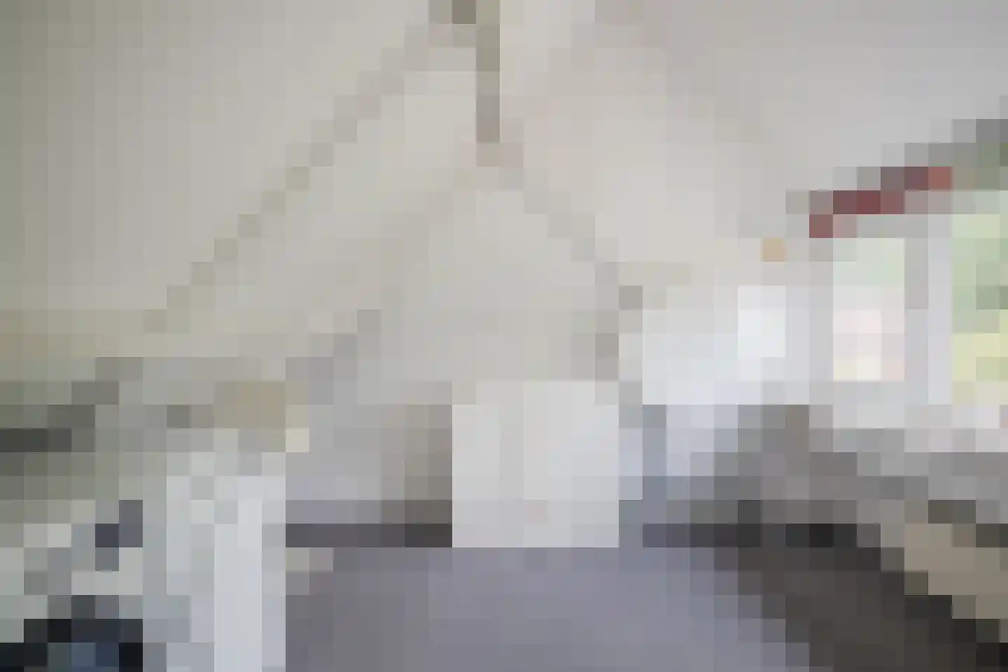 Dovenetel 14 Deventer thumbnail 36