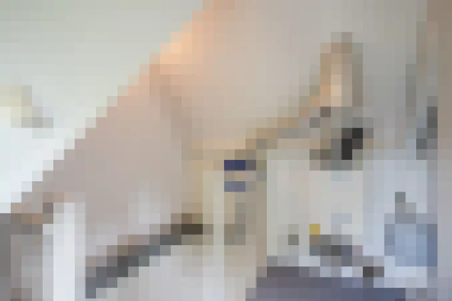 Dovenetel 14 Deventer thumbnail 38