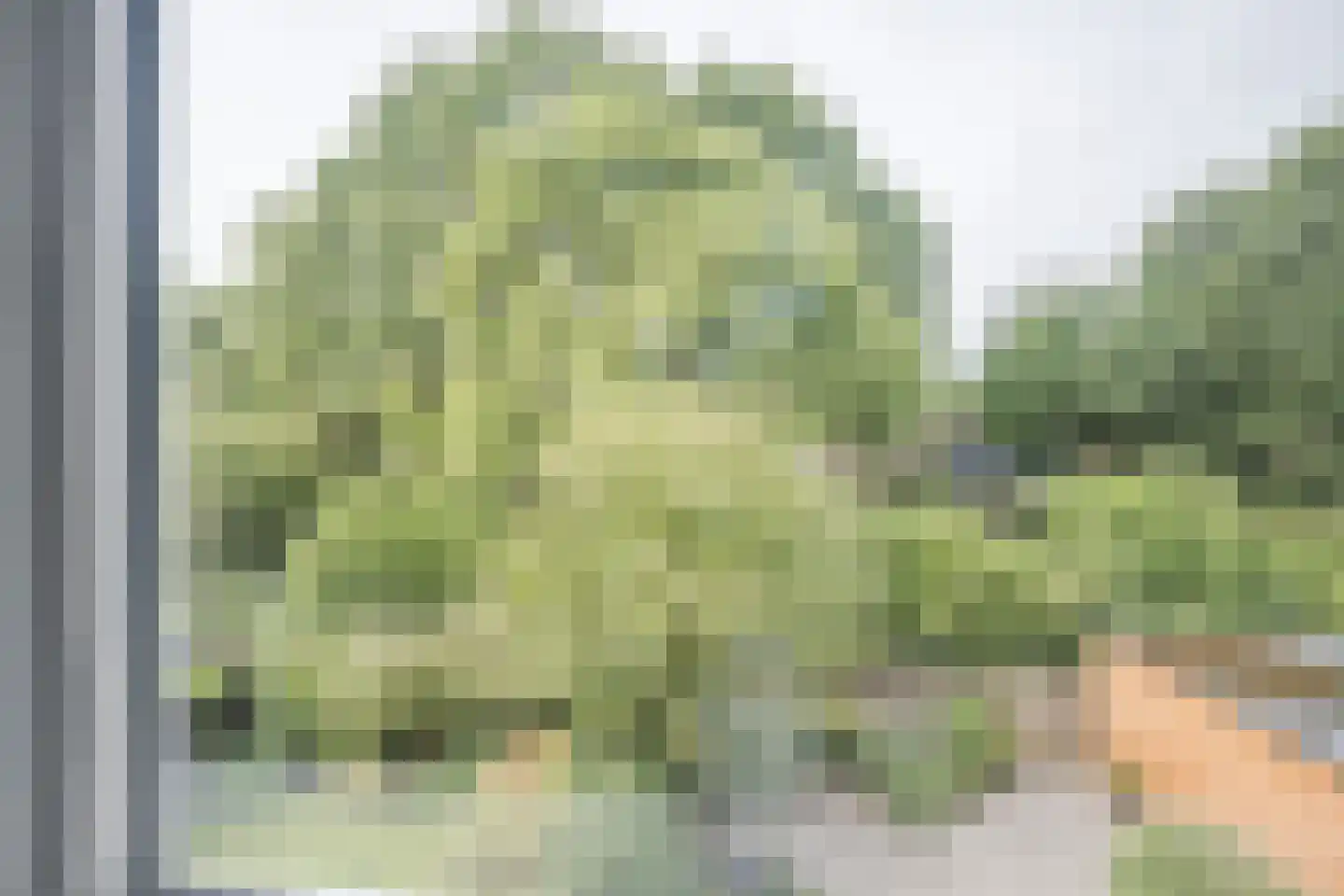 Dovenetel 14 Deventer thumbnail 40
