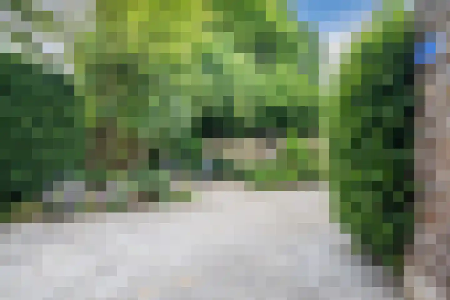 Dovenetel 14 Deventer thumbnail 41