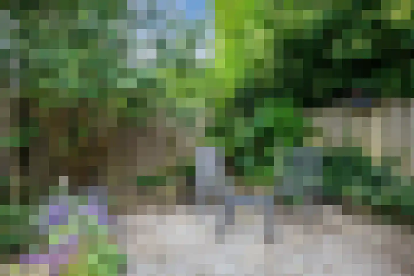 Dovenetel 14 Deventer thumbnail 43