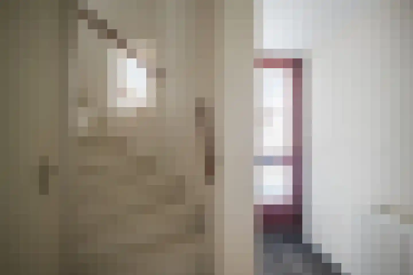 Dovenetel 14 Deventer thumbnail 5