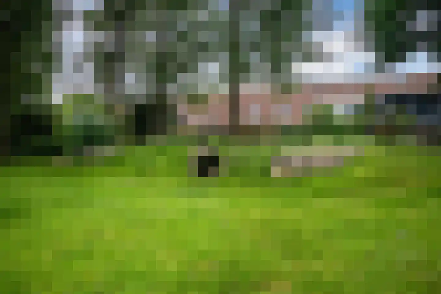 Dovenetel 14 Deventer thumbnail 51