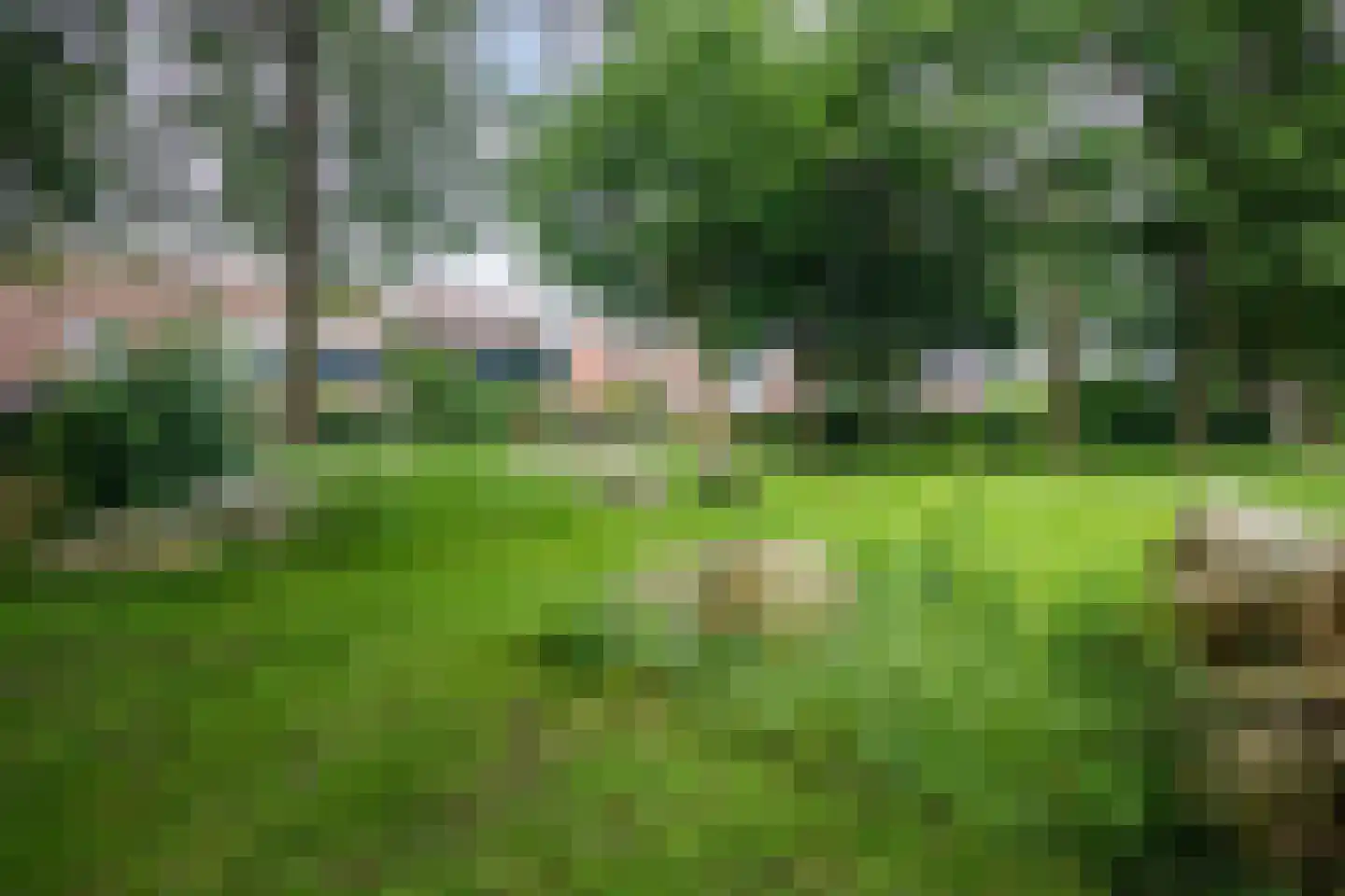 Dovenetel 14 Deventer thumbnail 52