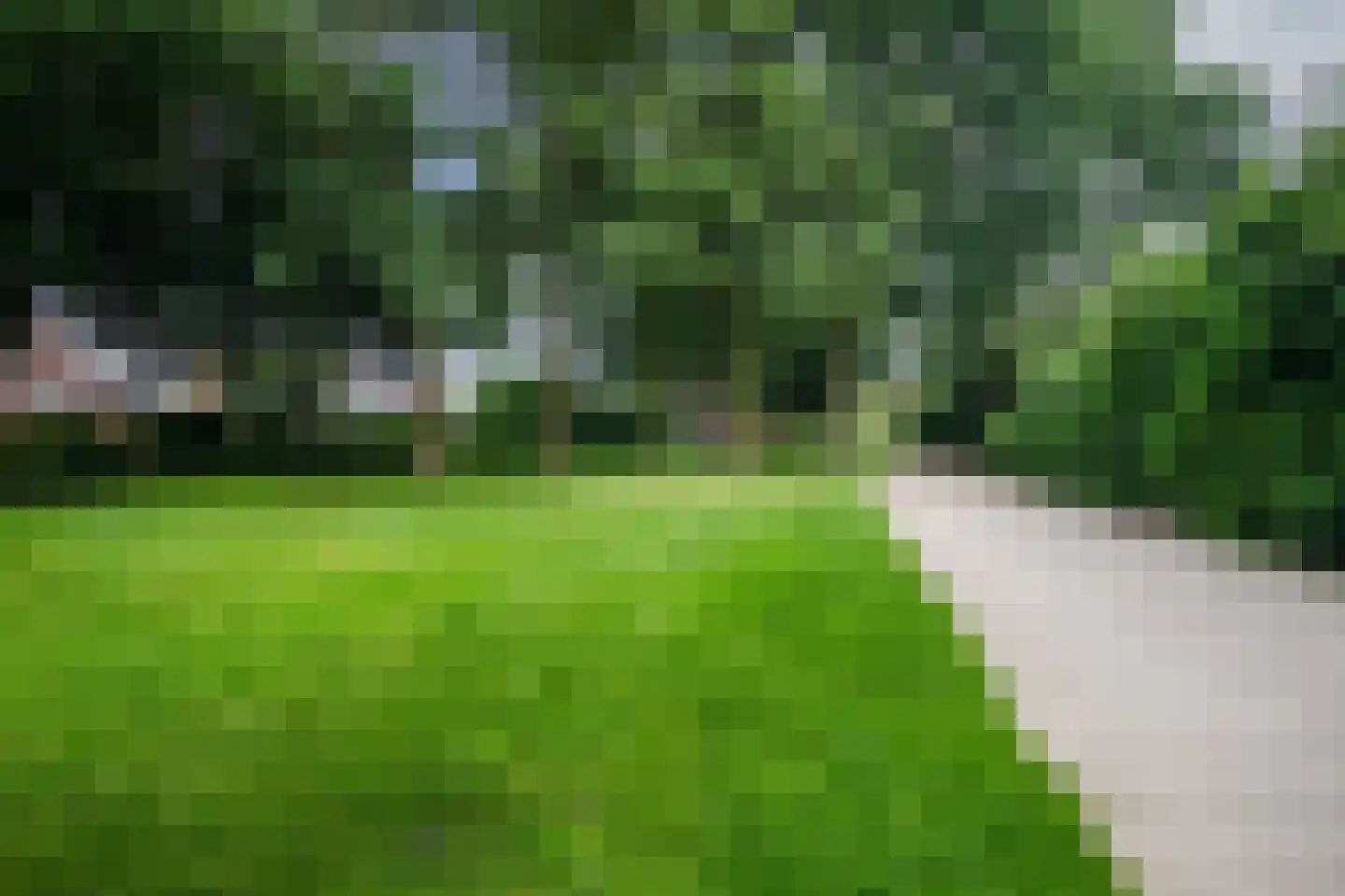 Dovenetel 14 Deventer thumbnail 53