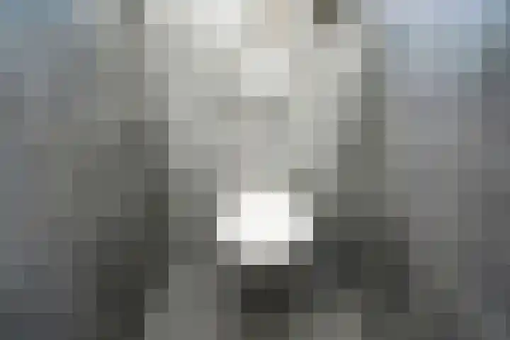 Dovenetel 19 Naaldwijk thumbnail 15
