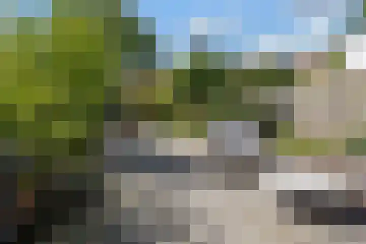 Dovenetel 19 Naaldwijk thumbnail 16