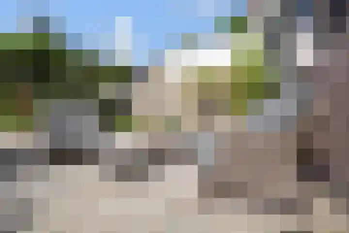 Dovenetel 19 Naaldwijk thumbnail 17
