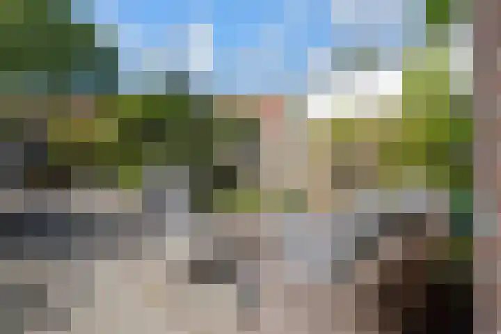 Dovenetel 19 Naaldwijk thumbnail 18