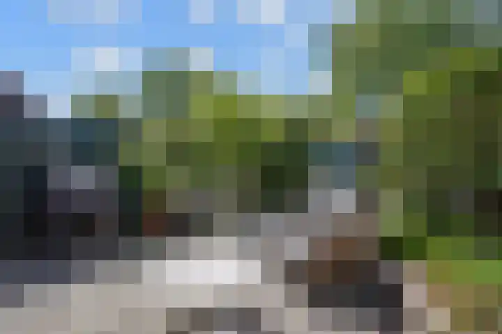 Dovenetel 19 Naaldwijk thumbnail 19
