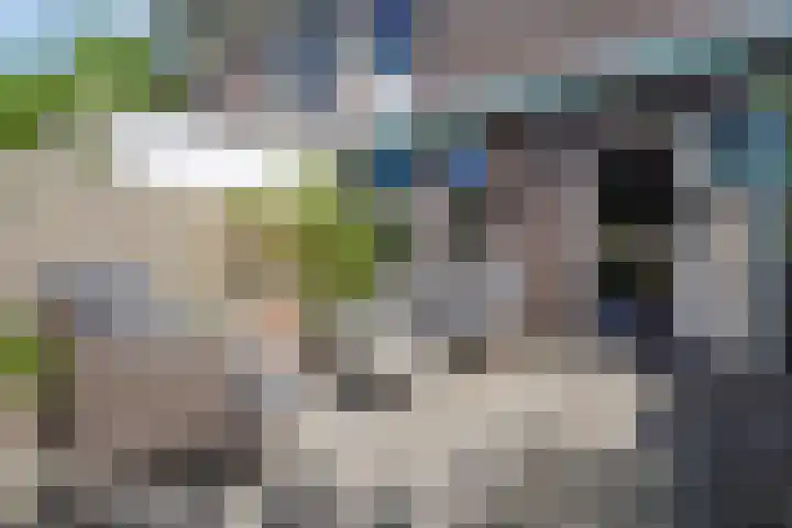 Dovenetel 19 Naaldwijk thumbnail 20