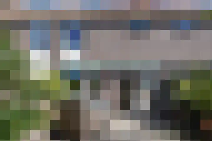 Dovenetel 19 Naaldwijk thumbnail 21