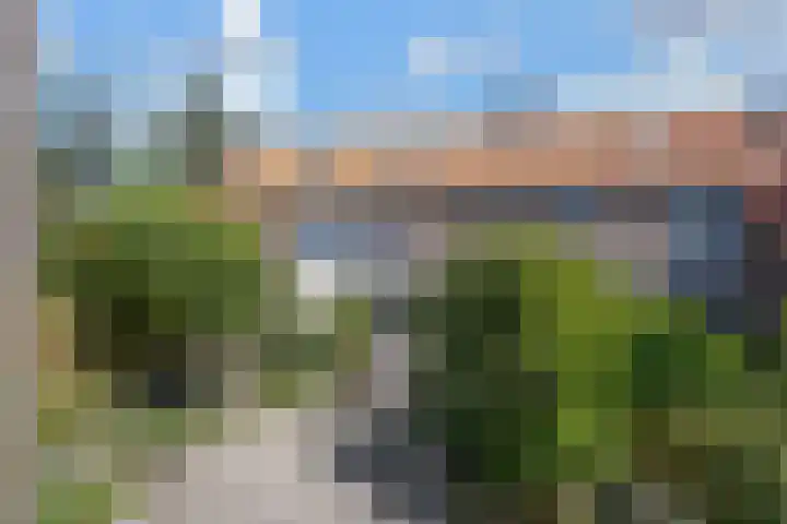 Dovenetel 19 Naaldwijk thumbnail 22