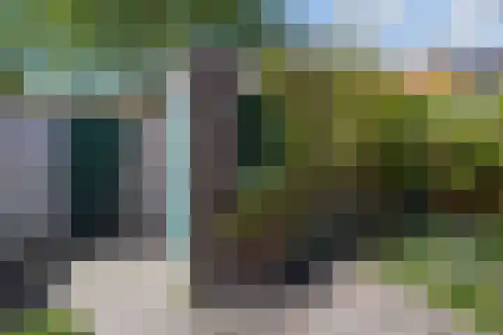 Dovenetel 19 Naaldwijk thumbnail 23
