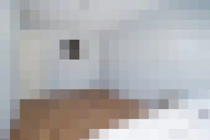 Dovenetel 19 Naaldwijk thumbnail 34