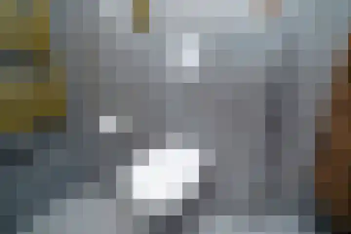 Dovenetel 19 Naaldwijk thumbnail 37