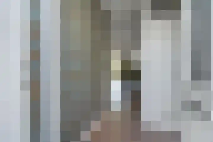 Dovenetel 19 Naaldwijk thumbnail 4