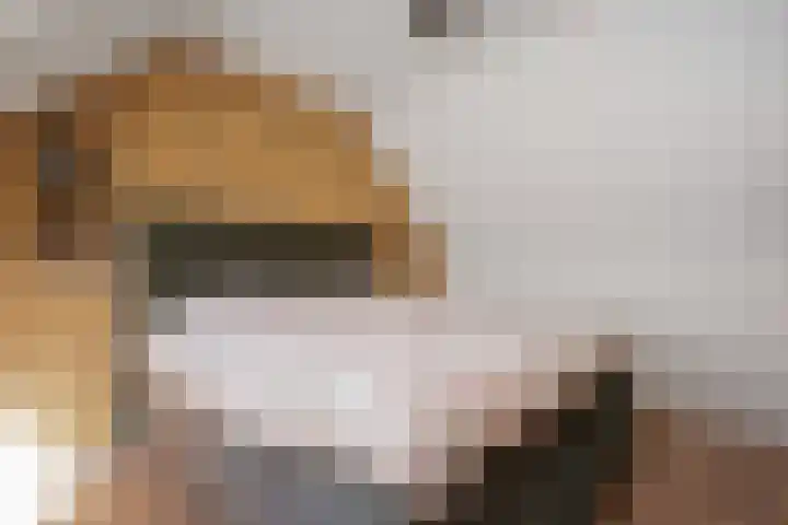 Dovenetel 19 Naaldwijk thumbnail 40