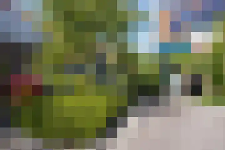 Dovenetel 19 Naaldwijk thumbnail 43