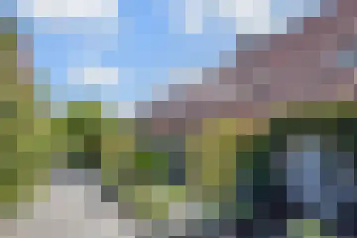 Dovenetel 19 Naaldwijk thumbnail 44