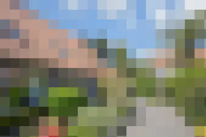 Dovenetel 19 Naaldwijk thumbnail 46
