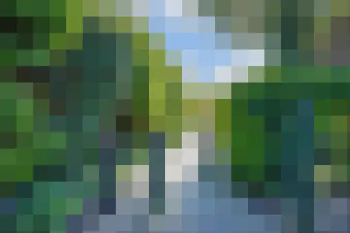 Dovenetel 19 Naaldwijk thumbnail 47