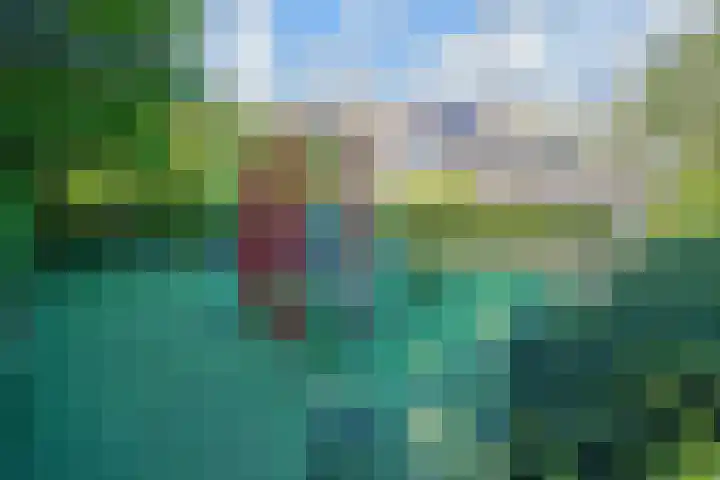 Dovenetel 19 Naaldwijk thumbnail 48