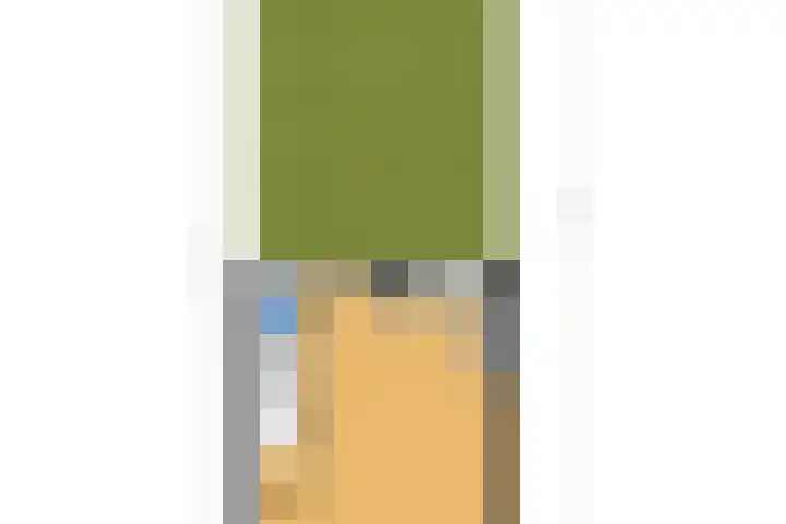 Dovenetel 19 Naaldwijk thumbnail 53