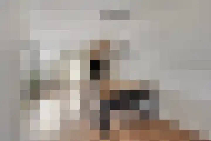 Dovenetel 2 Zwaag thumbnail 10