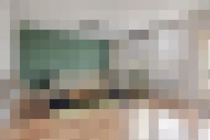 Dovenetel 2 Zwaag thumbnail 11