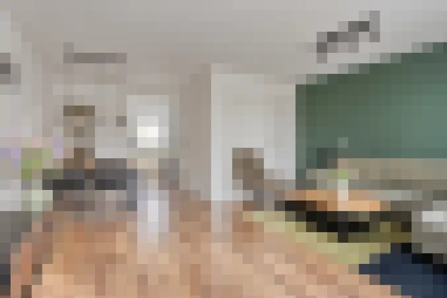 Dovenetel 2 Zwaag thumbnail 12