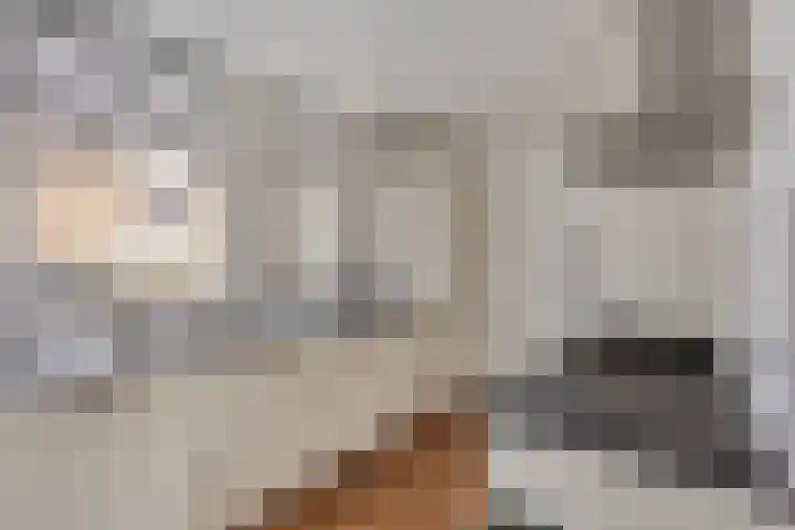 Dovenetel 2 Zwaag thumbnail 14