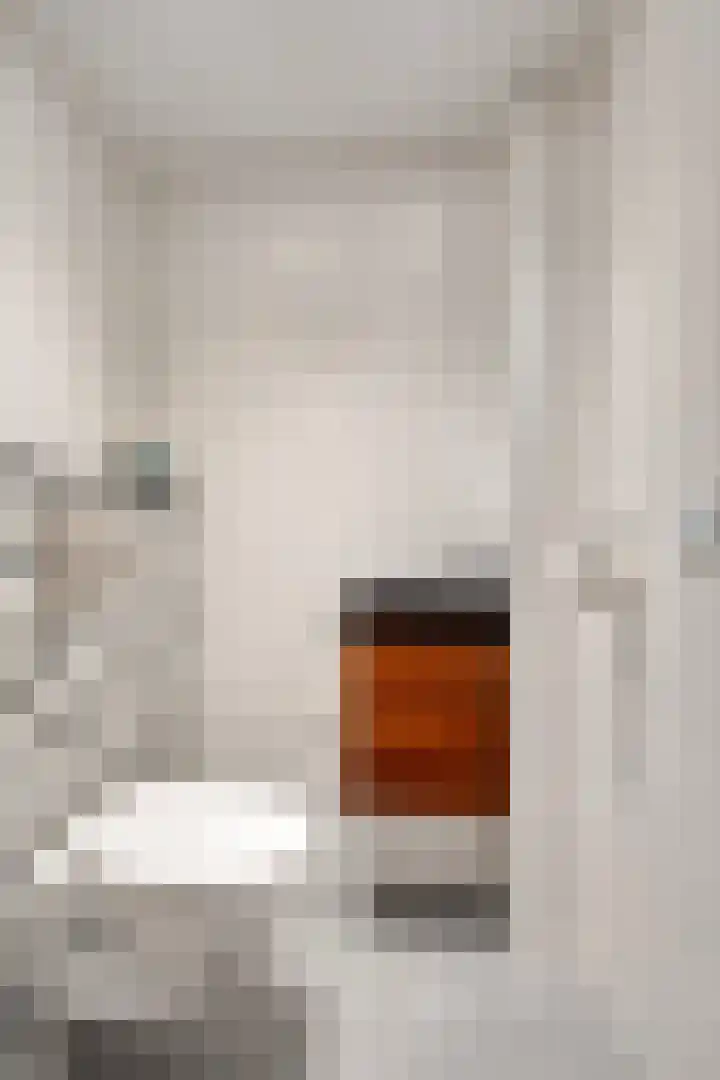 Dovenetel 2 Zwaag thumbnail 16
