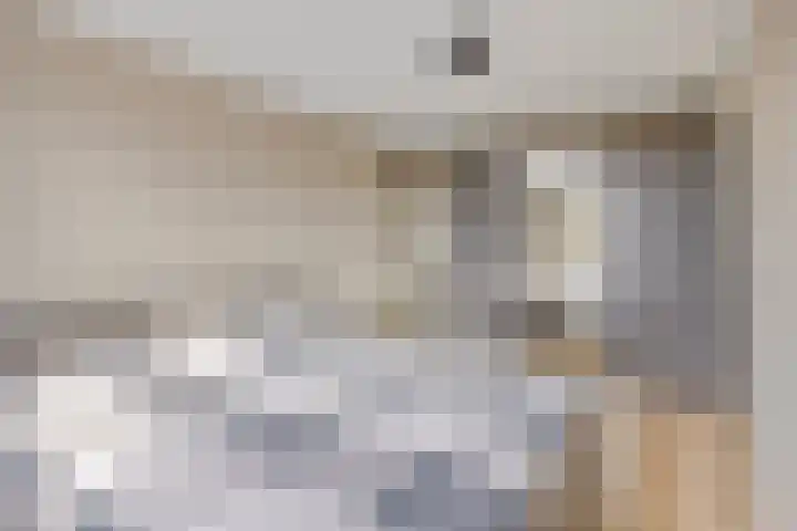 Dovenetel 2 Zwaag thumbnail 20