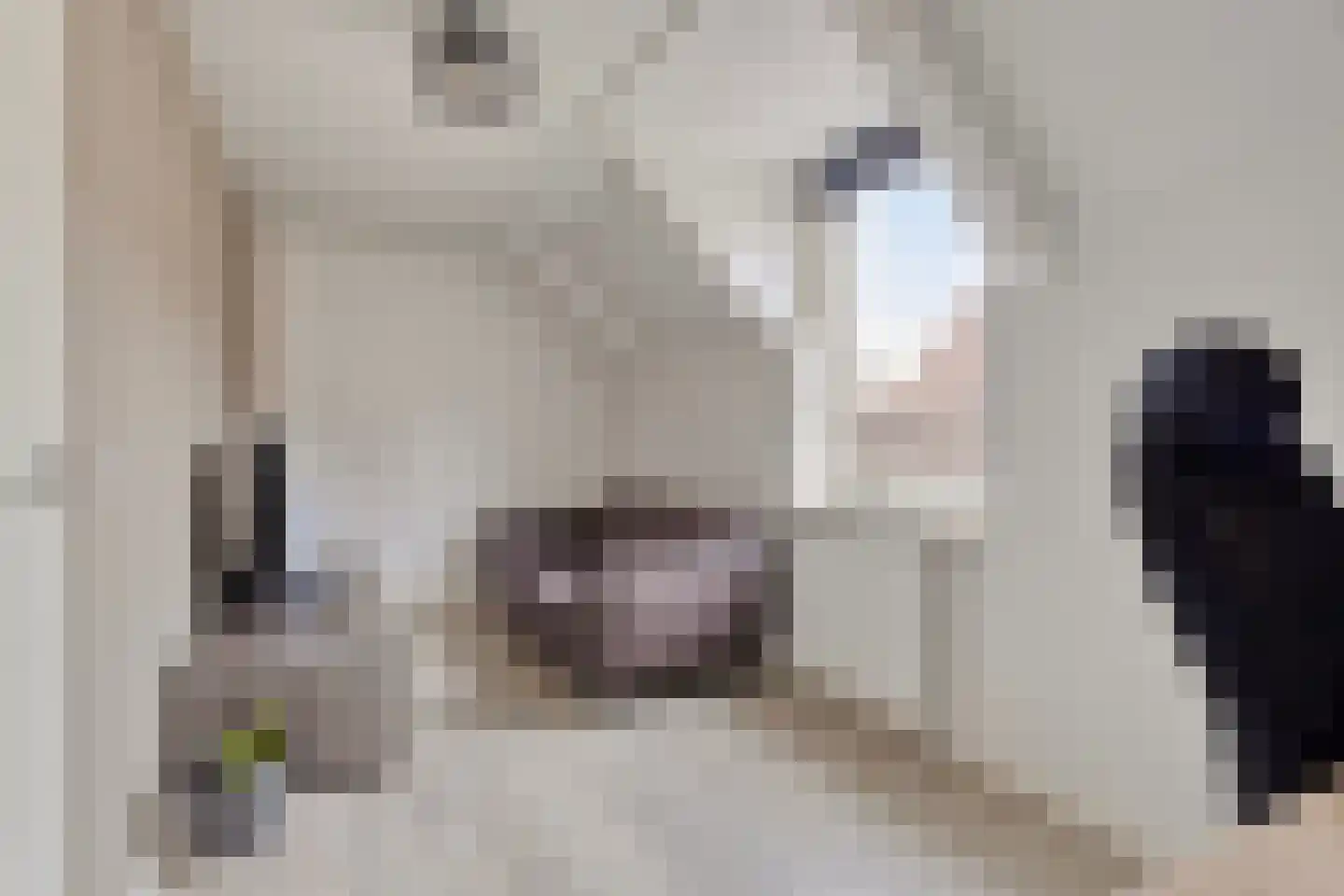Dovenetel 2 Zwaag thumbnail 22