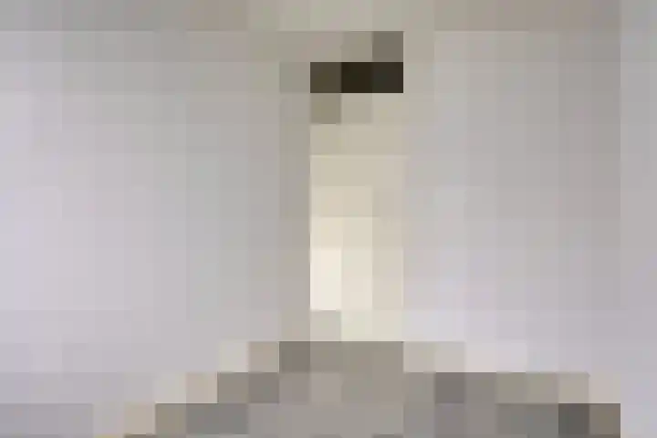 Dovenetel 2 Zwaag thumbnail 26