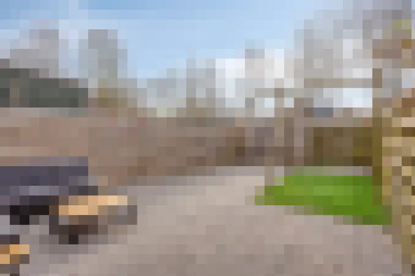 Dovenetel 2 Zwaag thumbnail 30