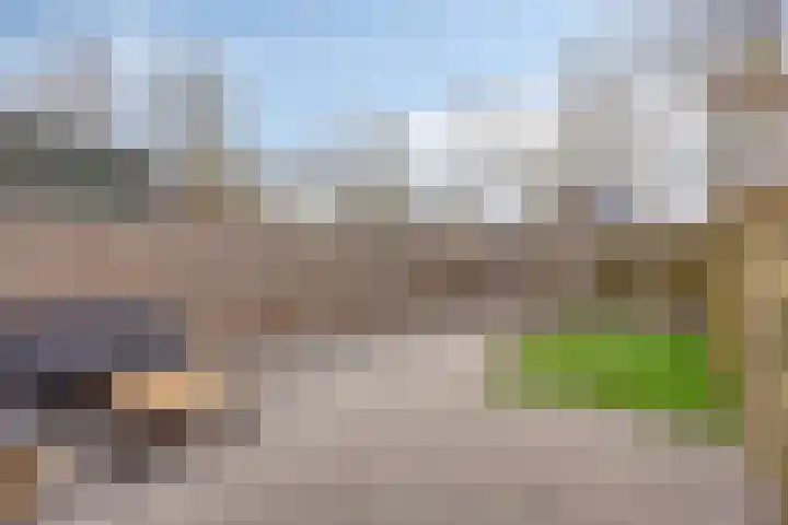 Dovenetel 2 Zwaag thumbnail 31